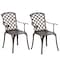 Gardenised Indoor and Outdoor Bronze Dinning Set 2 Chairs Cast Aluminum. QI003960CH.2 - alternate 1